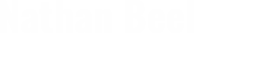 Dr Nathan Beel